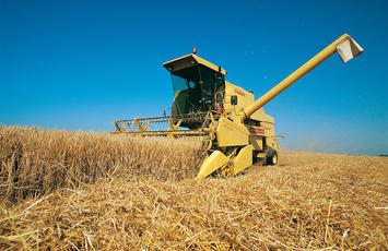 Agri – Productos Agrícolas y Fertilizantes