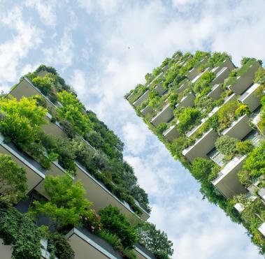 Sustentabilidad construcción de edificios verdes